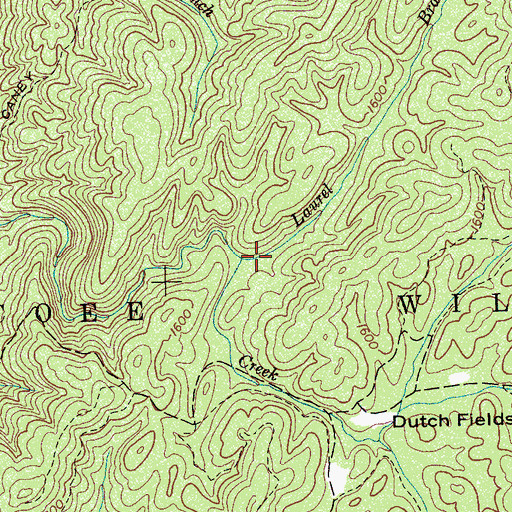 Topographic Map of Laurel Branch, TN