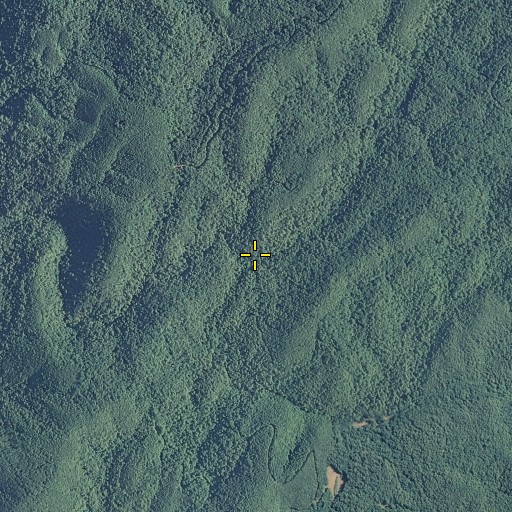 Aerial/Satellite Image of Laurel Branch, TN