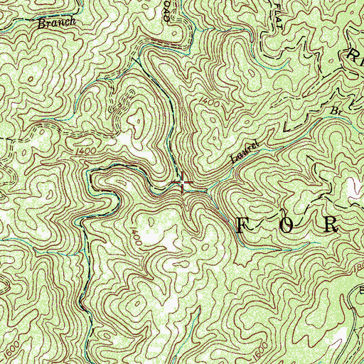 Topographic Map of Laurel Branch, TN