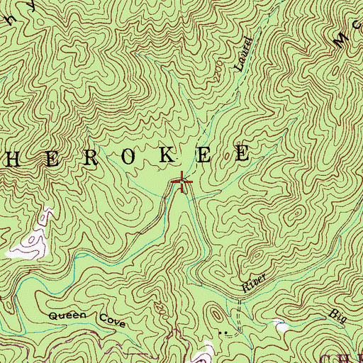 Topographic Map of Laurel Branch, TN