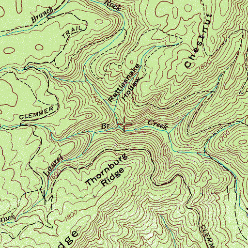 Topographic Map of Laurel Branch, TN