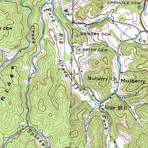 Topographic Map of Lemon Prong, TN