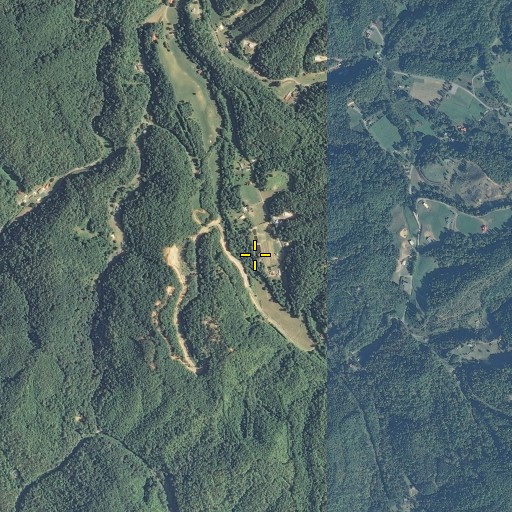 Aerial/Satellite Image of Lemon Prong, TN