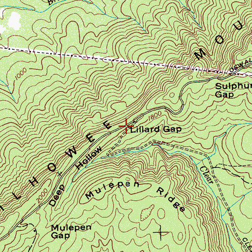 Topographic Map of Lillard Gap, TN
