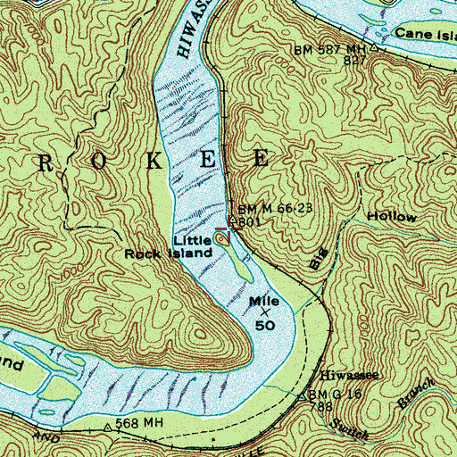 Topographic Map of Little Rock Island, TN