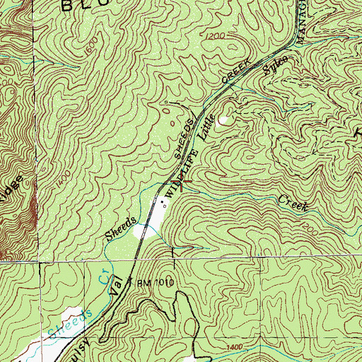 Topographic Map of Little Sylco Branch, TN
