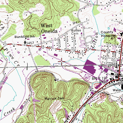 Topographic Map of Litton Fork, TN