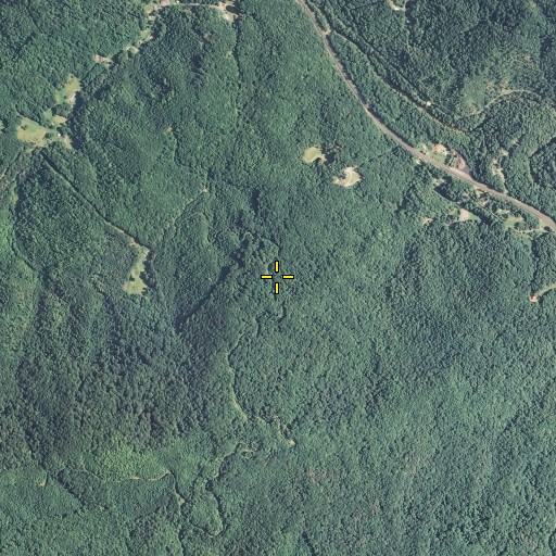 Aerial/Satellite Image of Loggers Flat, TN