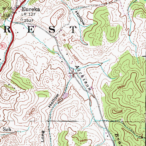 Topographic Map of Long Hollow, TN