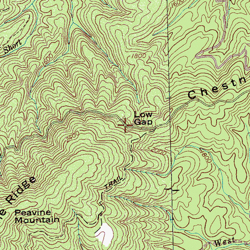 Topographic Map of Low Gap, TN