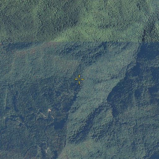Aerial/Satellite Image of Low Gap, TN