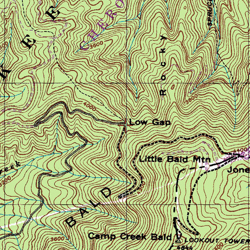 Topographic Map of Low Gap, TN