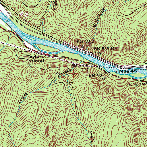 Topographic Map of Lowry Branch, TN