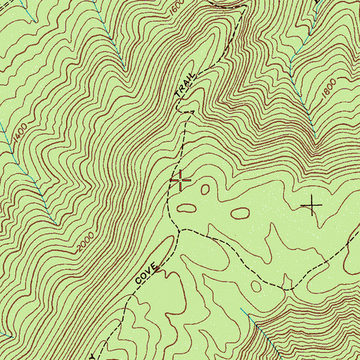 Topographic Map of Lowry Cove Trail, TN