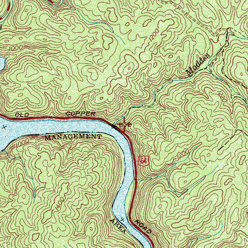 Topographic Map of Madden Branch, TN