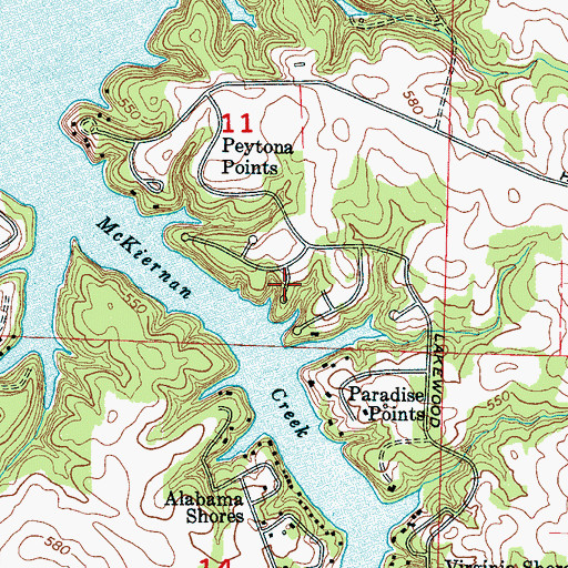 Topographic Map of Fosters Mill (historical), AL