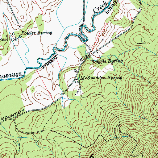 Topographic Map of McSpadden Spring, TN