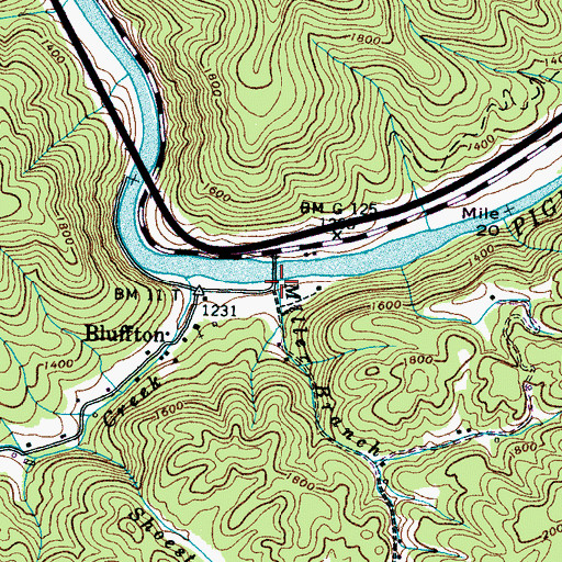 Topographic Map of Miller Branch, TN