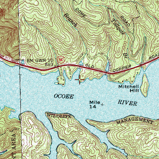 Topographic Map of Mitchell Branch, TN