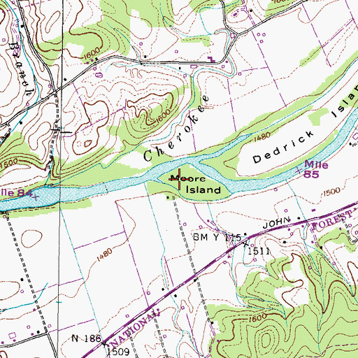 Topographic Map of Moore Island, TN