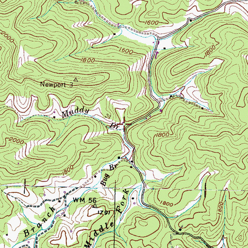 Topographic Map of Muddy Branch, TN