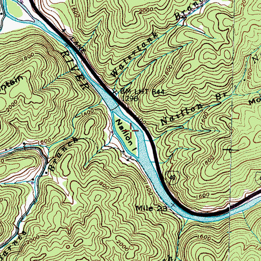 Topographic Map of Naillon Island, TN