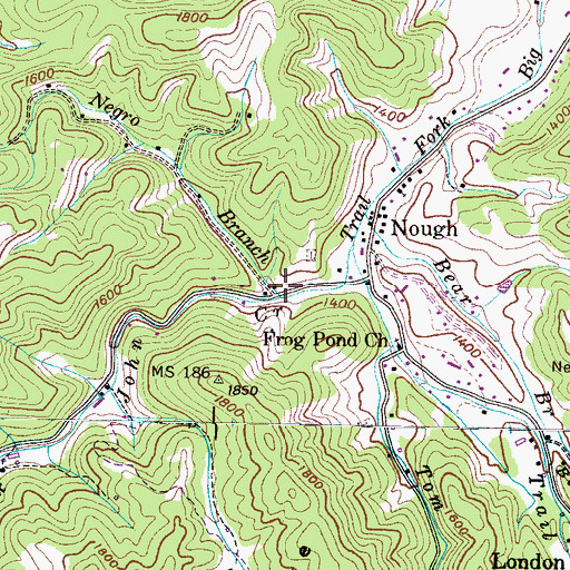 Topographic Map of Negro Branch, TN