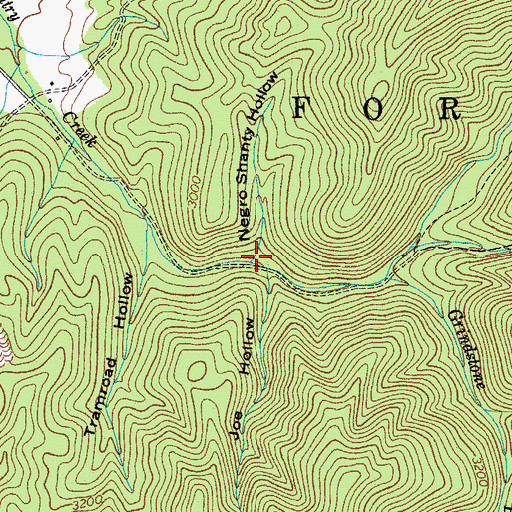 Topographic Map of Negro Shanty Hollow, TN