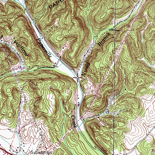 Topographic Map of Nicely Branch, TN