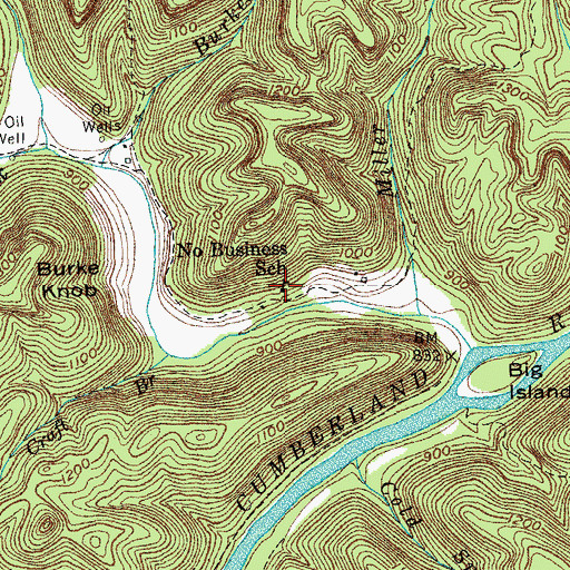 Topographic Map of No Business School, TN