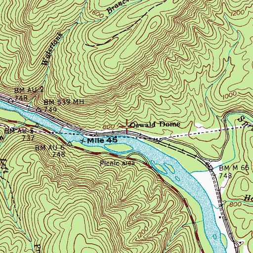 Topographic Map of Oswald Dome, TN