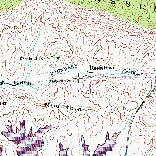 Topographic Map of Padgett Cemetery, TN