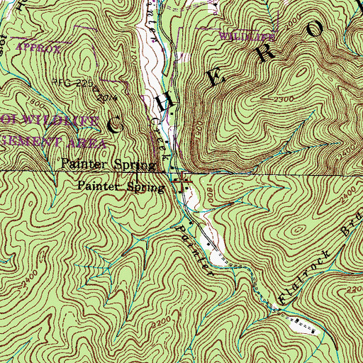 Topographic Map of Painter Spring, TN