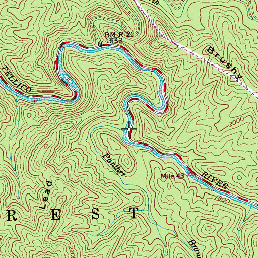 Topographic Map of Panther Branch, TN
