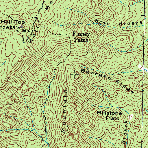 Topographic Map of Panther Mountain, TN