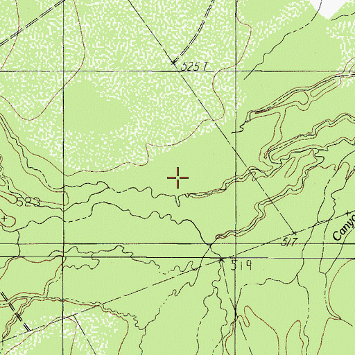 Topographic Map of Bonito South Branch, TX