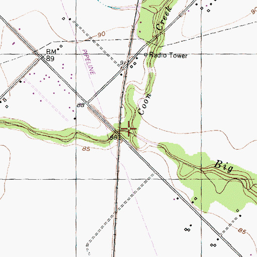 Topographic Map of Coon Creek, TX