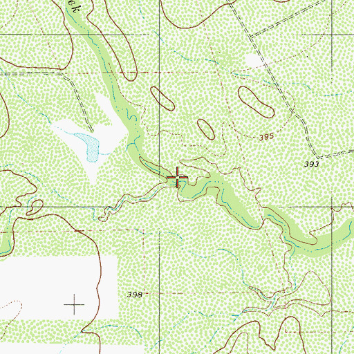 Topographic Map of Dolores Creek, TX