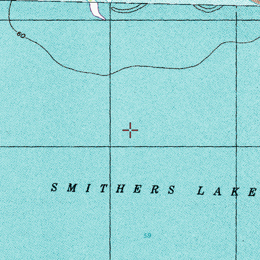 Topographic Map of Smithers Lake, TX