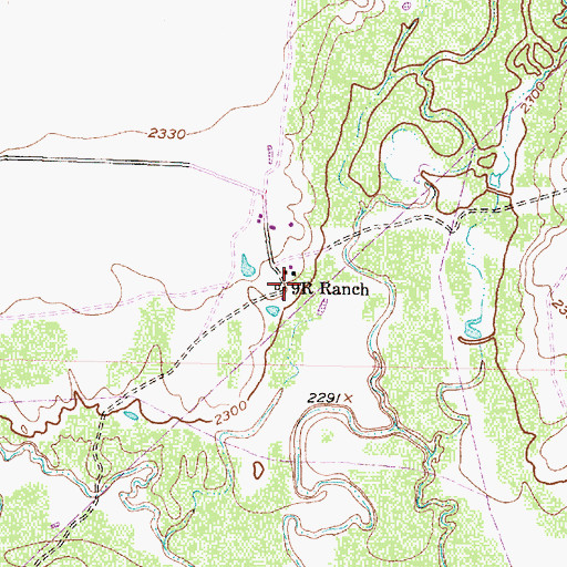 Topographic Map of Nine R Ranch, TX