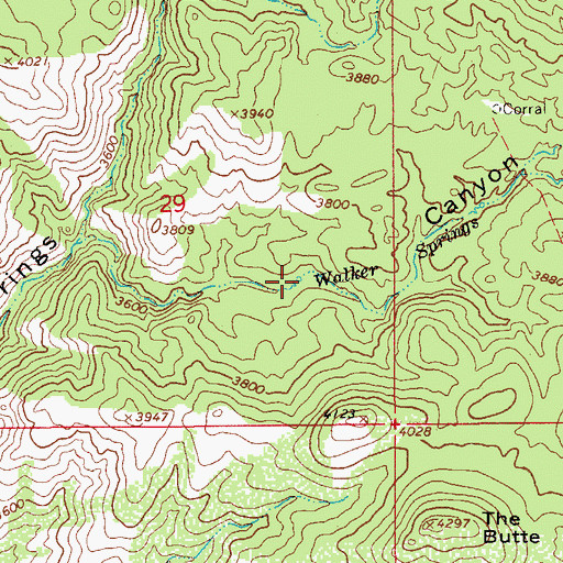 Topographic Map of Walker Springs, AZ