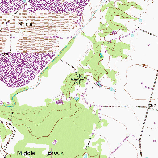 Topographic Map of Adams Cemetery, TX