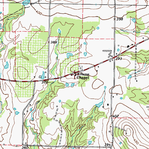 Topographic Map of Adams Chapel, TX