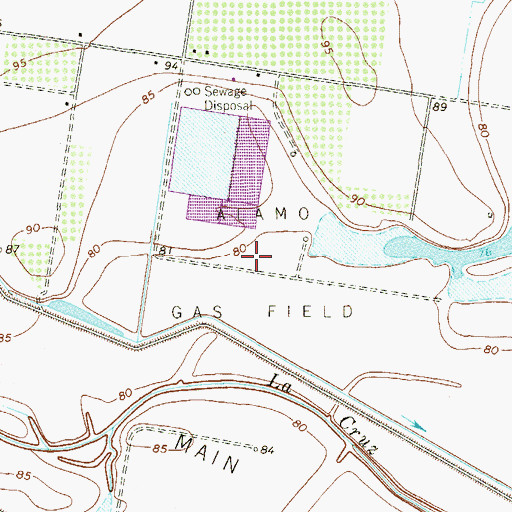 Topographic Map of Alamo Gas Field, TX
