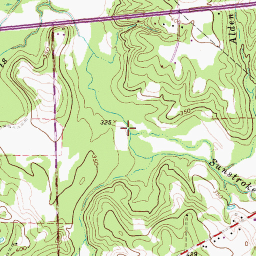 Topographic Map of Alden Branch, TX