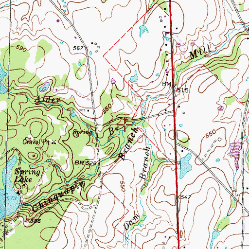 Topographic Map of Alder Branch, TX