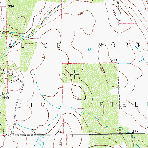 Topographic Map of Alice North Oil Field, TX