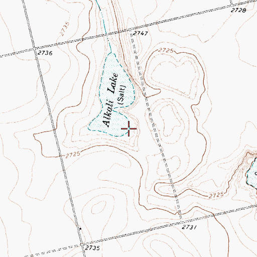 Topographic Map of Alkali Lake, TX