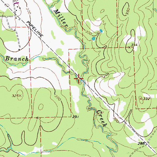Topographic Map of Alligator Branch, TX