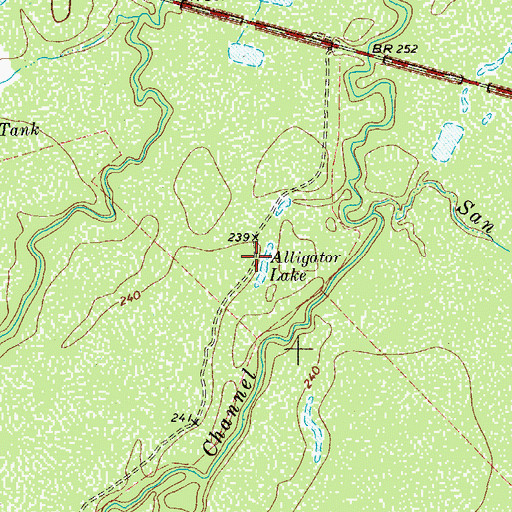 Topographic Map of Alligator Lake, TX